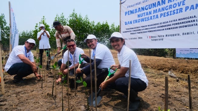 PT ASDP Indonesia Ferry (Persero) melakukan penanaman mangrove untuk melestarikan lingkungan 