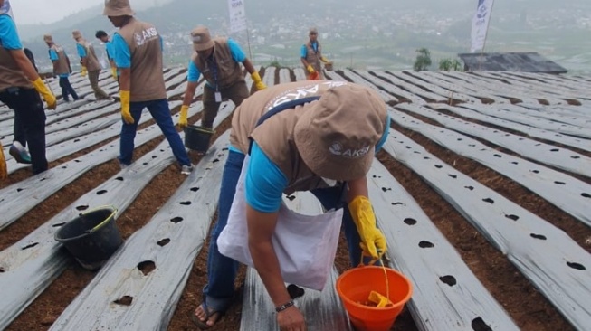 Rekind Tingkatkan Peran TJSL untuk Petani Dieng