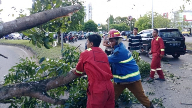 Hujan Deras Landa Padang, 3 Pohon Tumbang Timpa Pengendara Motor