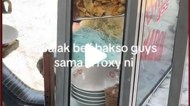 Aksi Lucu Anjing Panggil Tukang Bakso Lalu Berterima Kasih Ini Curi Perhatian Warganet