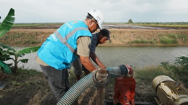 Dukung Pengembangan Pertanian di Merauke, PLN Listriki Area Sawah Garapan Kementan-TNI