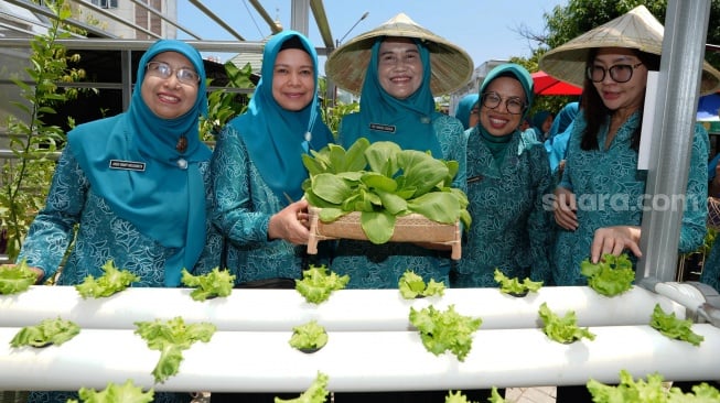 Inspirasi PKK Sulsel: Kebun Canggih "Aku Hatinya PKK" Resmi Dibuka