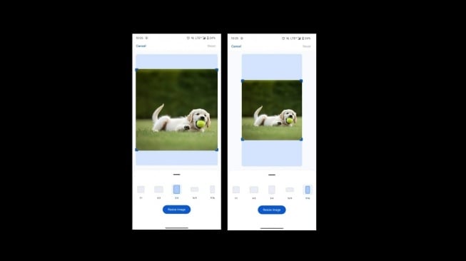 Rasio aspek pada gambar di Gemini. [Xiaomitime]