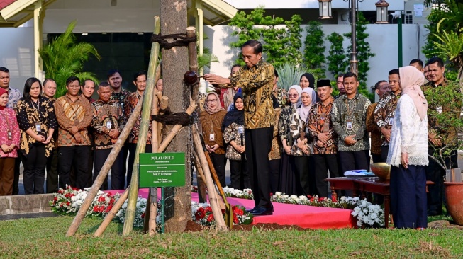 Makna Simbolis Pohon Pulai dan Flamboyan yang Ditanam Jokowi dan lbu lriana di Halaman Istana Jelang Purna Tugas