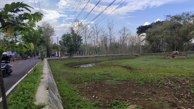 Nasib Miris Telaga Gunungkidul: Dari Sumber Kehidupan Menjadi Kubangan Kering