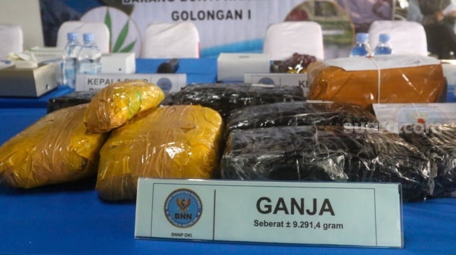 Penampakan barang bukti ganja hasil pengungkapan kasus peredaran narkotika yang akan dimusnahkan di Jakarta, Selasa (29/10/2024). [Suara.com/Alfian Winanto]