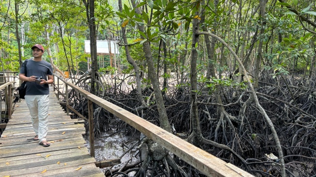 Kawasan hutang mangrove Pandang Tak Jemu, Desa Wisata Kampung Tua Bakau Serip [suara.com/eliza gusmeri]