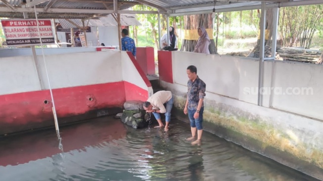 Kondisi dan suasana KBA Wironanggan Sendang Tirto Wiguno. (Suara.com/Ari Welianto)