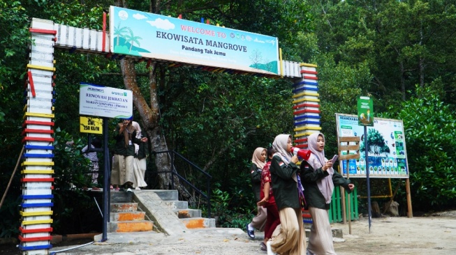 Pengunjung di Ekowisata Mangrove Pandang Tak Jemu [suara.com/eliza gusmeri]