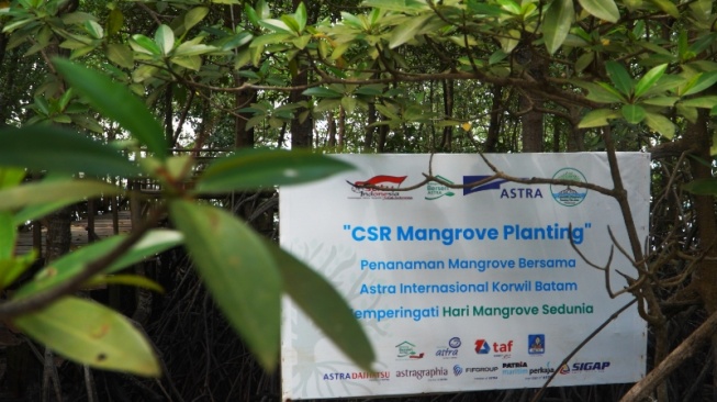 Hutan Mangrove Pandang Tak Jemu, Desa Wisata Kampung Tua Bakau Serip, Nongsa, Batam [suara.com/elizagusmeri]