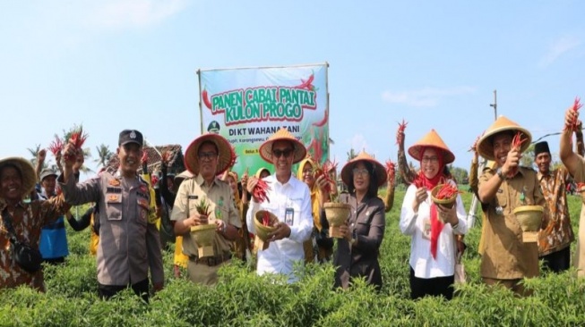 Kementan Serahkan Bangsal Pascapanen Hortikultura di Kulon Progo