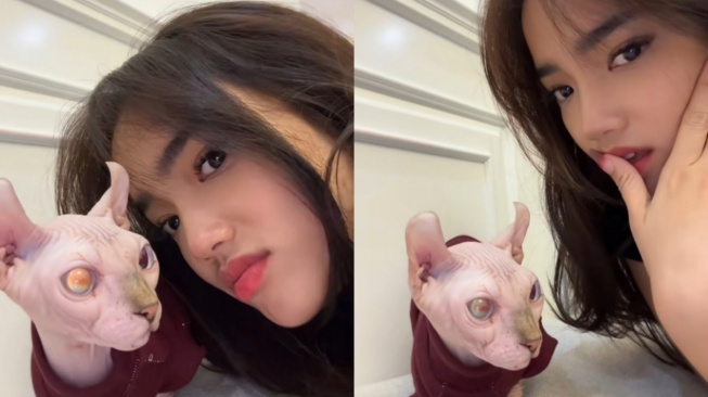 Fuji Dapat Kado Ulang Tahun Kucing Sphynx dari Erika Carlina (TikTok)