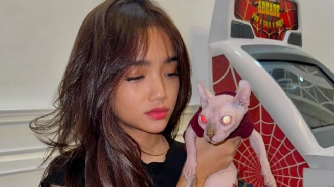 Fuji dapat kado ulang tahun kucing Sphynx dari Erika Carlina (Instagram/@fuji_an)