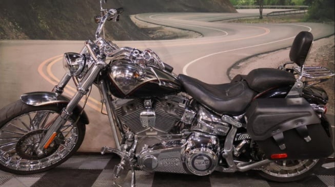 Harley Davidson CVO FXSBSE (wheelsinmotionmc)