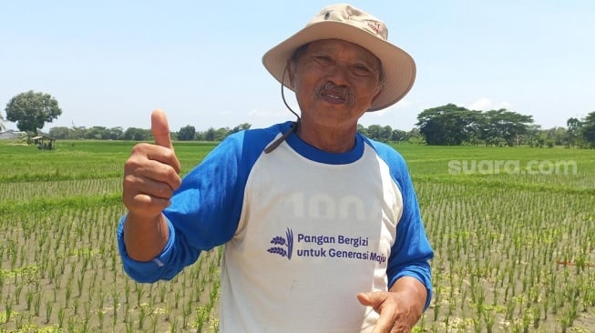 Petani Padi Biofortifikasi, Suryantoko di Desa Benelan Kidul, Banyuwangi, Jawa Timur, Rabu (6/11/2024) (Suara.com/Dini Afrianti Efendi)