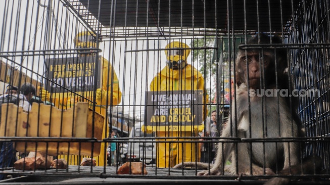 Aktivis dari People for the Ethical Treatment of Animals (PETA) menggunakan alat pelindung diri (APD) berjalan di Pasar Hewan Jatinegara, Jakarta, Selasa (12/11/2024). [Suara.com/Alfian Winanto]