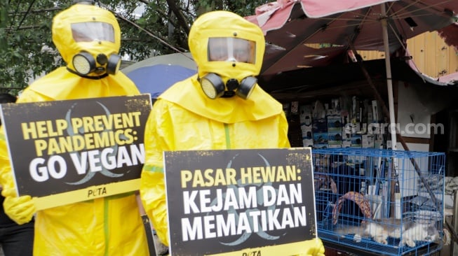 Aktivis dari People for the Ethical Treatment of Animals (PETA) menggunakan alat pelindung diri (APD) berjalan di Pasar Hewan Jatinegara, Jakarta, Selasa (12/11/2024). [Suara.com/Alfian Winanto]