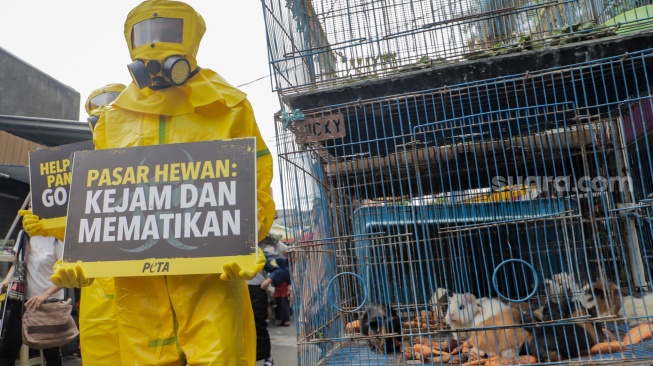 Aktivis dari People for the Ethical Treatment of Animals (PETA) menggunakan alat pelindung diri (APD) berjalan di Pasar Hewan Jatinegara, Jakarta, Selasa (12/11/2024). [Suara.com/Alfian Winanto]