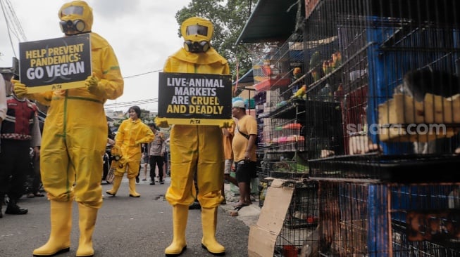 Aktivis dari People for the Ethical Treatment of Animals (PETA) menggunakan alat pelindung diri (APD) berjalan di Pasar Hewan Jatinegara, Jakarta, Selasa (12/11/2024). [Suara.com/Alfian Winanto]