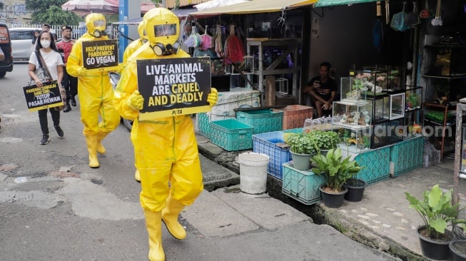 Aktivis dari People for the Ethical Treatment of Animals (PETA) menggunakan alat pelindung diri (APD) berjalan di Pasar Hewan Jatinegara, Jakarta, Selasa (12/11/2024). [Suara.com/Alfian Winanto]