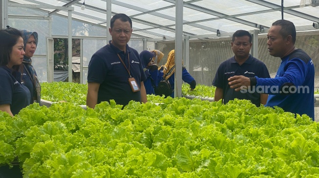 Petani Kendal Diedukasi Soal Agribisnis dan Pemaksimalan Hidroponik