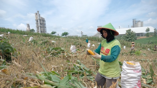 SGSP Dongkrak Pendapatan Petani Rembang, Kesejahteraan Masyarakat Meningkat