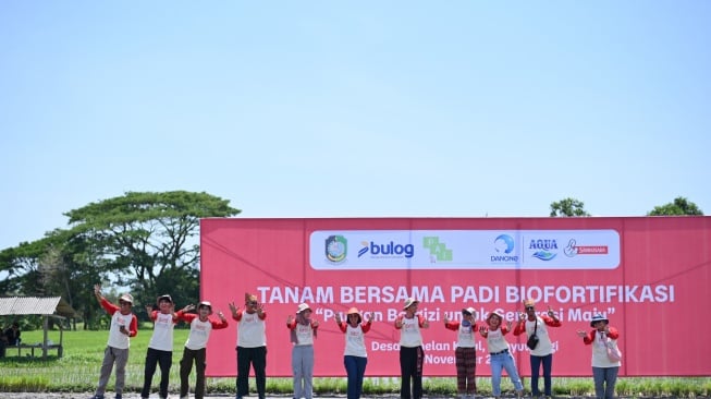 Peserta Jelajah Gizi menanam bibit padi biofortifikasi di Desa Benelan Kidul, Banyuwangi, Rabu (6/11/2024).