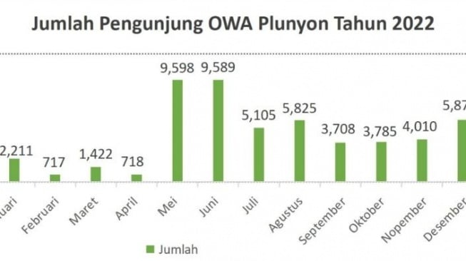 Jumlah pengunjung objek wisata Plunyon Kali Kuning tahun 2022. [Suarajogja.id/Hiskia Andika Weadcaksana]