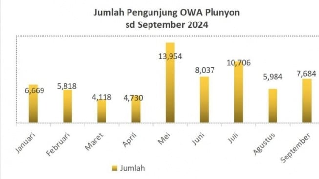 Jumlah pengunjung objek wisata Plunyon Kali Kuning tahun 2024. [Suarajogja.id/Hiskia Andika Weadcaksana]