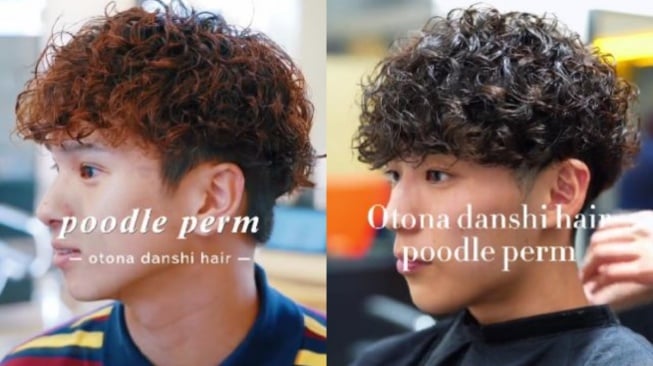 Gaya rambut poodle perm. [TikTok/fifth_neonet.com]