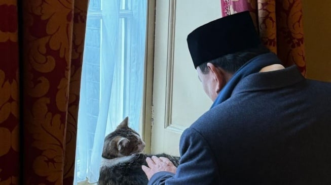 Presiden RI Prabowo Subianto bersama Larry The Cat. (Instagram)