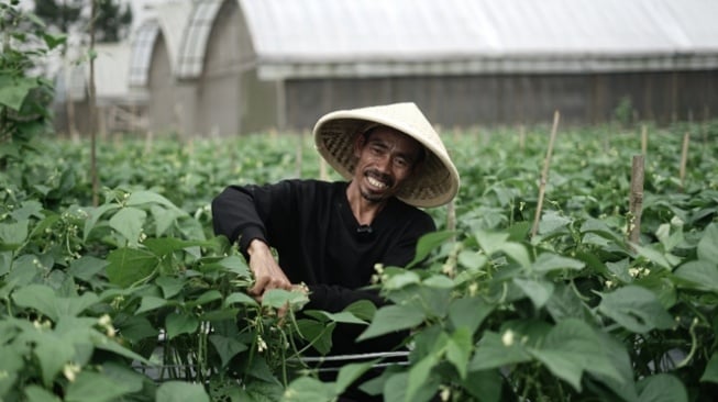 Salah Satu Petani di Greenhouse Buncis Kenya Dompet Dhuafa (Dok. Dompet Dhuafa)