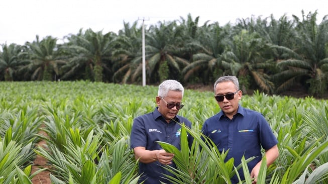 PTPN Inisiasi Program PSR Intercropping Padi Dukung Swasembada Pangan nasional