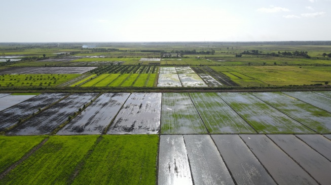 Kementan terus berupaya memperkuat produksi pangan (Dok. Kementan)