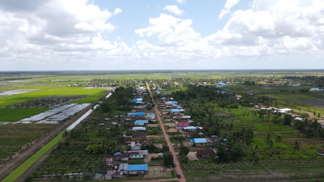 Anomali Deflasi Beras di Tengah El Nino dan Kekeringan: Produksi November 2024 Lampaui Ekspektasi