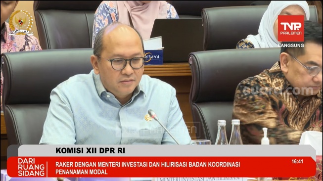 Rosan Akui Kontrak Eksportir Bisa Dievaluasi lewat BUMN Ekspor Baru PT DSI