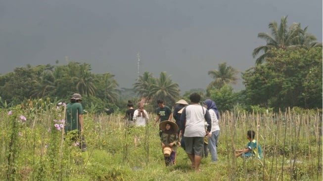 7 Langkah Mudah Membuat Pupuk Cair Organik ala Petani Muda Jogja