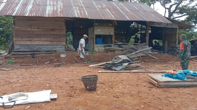 Lagi Kawanan Gajah Liar Rusak Rumah Warga di Lampung Barat, Satgas Kewalahan