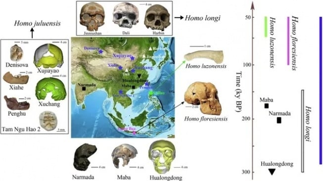 Diagram menunjukkan situs hominin di Asia Tengah beserta fosil yang ditemukan di sana. [C. Bae dan X. Wu]