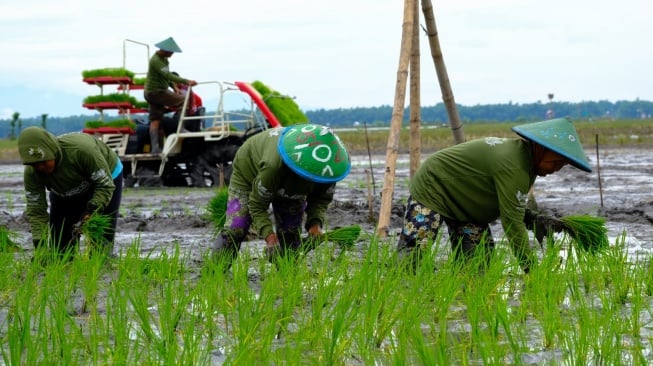 Sinergi Pemerintah, Swasta dan Petani, Swasembada Pangan Bukan Lagi Mimpi