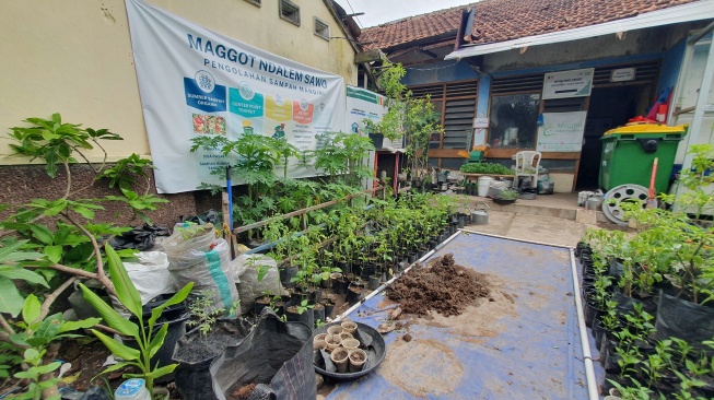 Lokasi pengolahan sampah yang terintegrasi dengan budidaya maggot di Maggot Ndalem Sawo, di Cokrodiningratan, Kecamatan Jetis, Kota Yogyakarta. [Suarajogja.id/Hiskia Andika Weadcaksana]