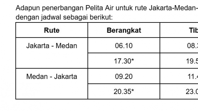 Rute baru Jakarta-Medan-Jakarta. (Dok: Pelita Air)