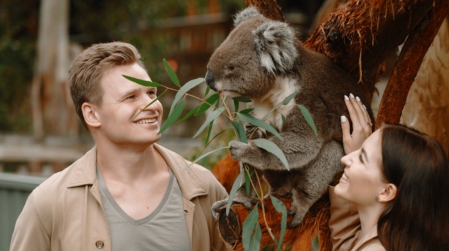 Cairns Australia: Destinasi Liburan Tropis yang Wajib Masuk Bucket List di Tahun Depan