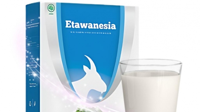 Susu kambing Etawa semakin populer sebagai alternatif sehat bagi mereka yang peduli pada asupan gizi. [Dok Pribadi]