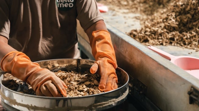 Indonesia Kaya Tanaman Herbal, Peluang Pasar Obat Tradisional Terus Meningkat