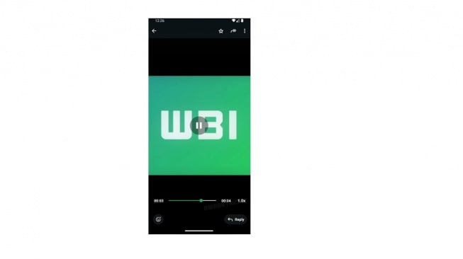 Fitur pemutaran video WhatsApp. [WABetaInfo]