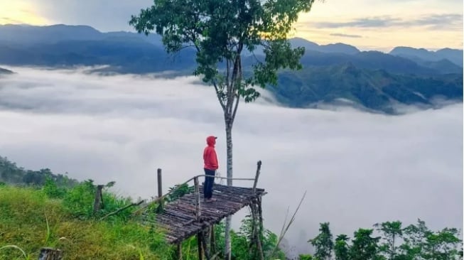 Negeri di Atas Awan Bulo, Tempat Terbaik Camp di Akhir Tahun