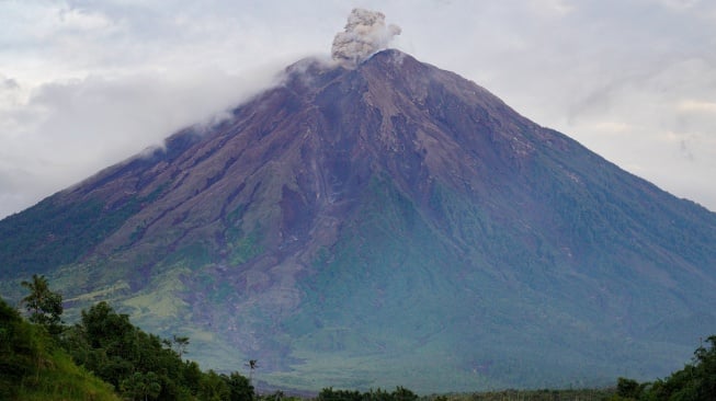 Asap vulkanis keluar dari kawah Gunung Semeru terlihat dari Desa Supiturang, Lumajang, Jawa Timur, Sabtu (28/12/2024). [ANTARA FOTO/Irfan Sumanjaya/nz]