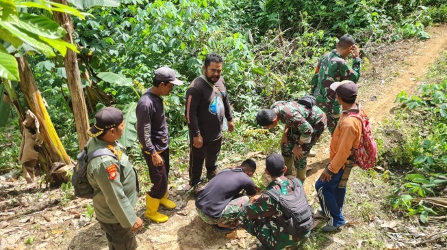 Waspada! Jejak Harimau Sumatera Ditemukan di Kebun Warga Lampung Barat