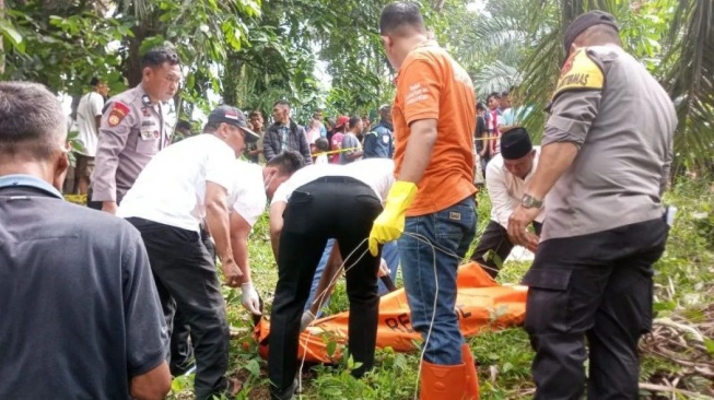 Mayat di Kebun Sawit Dharmasraya Ditemukan Telungkup, Polisi Lakukan Penyelidikan